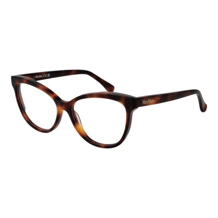 Brown Acetate Glasses (frames) Accessory