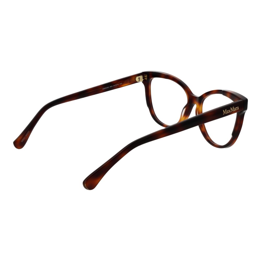 Brown Acetate Glasses (frames) Accessory