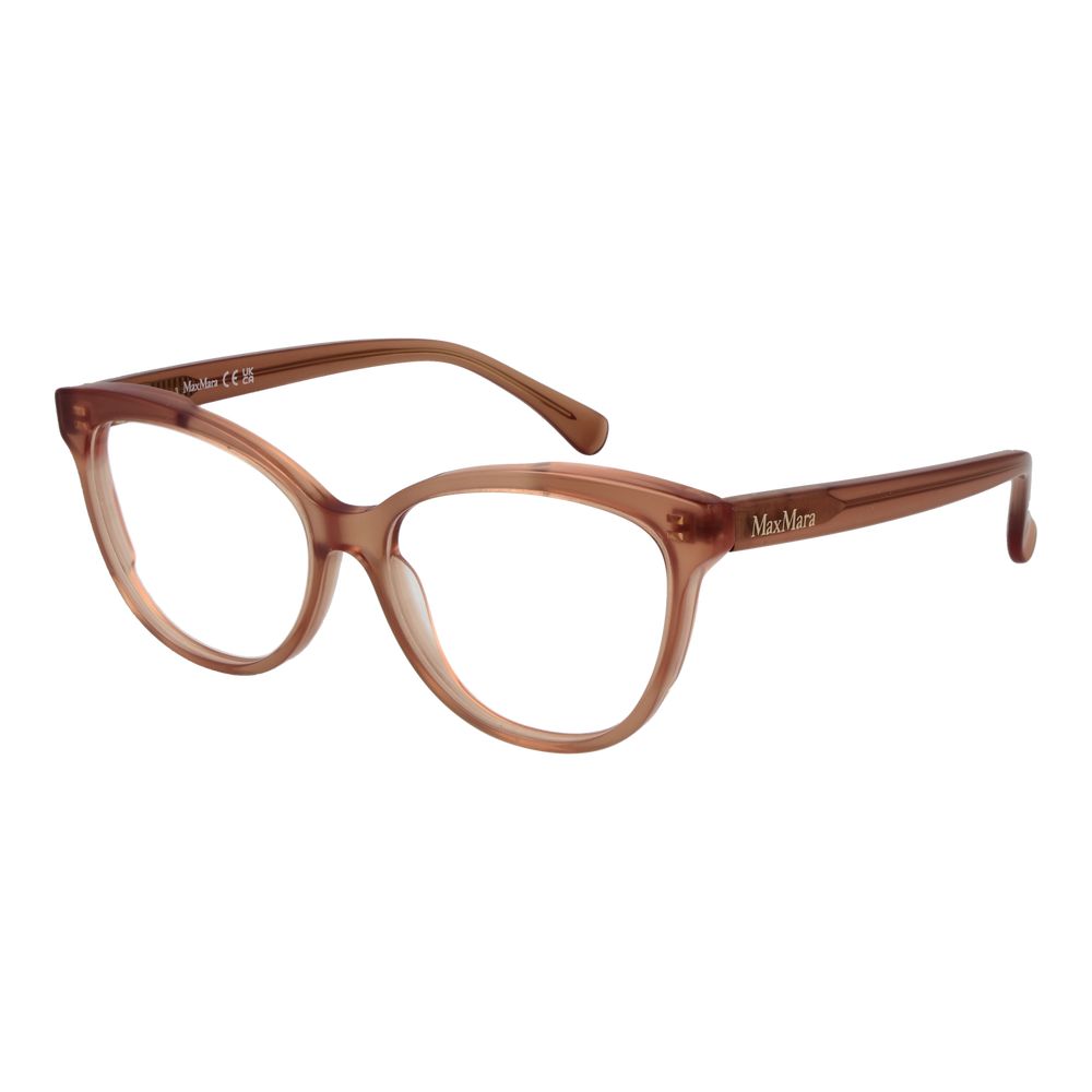 Brown Acetate Glasses (frames) Accessory