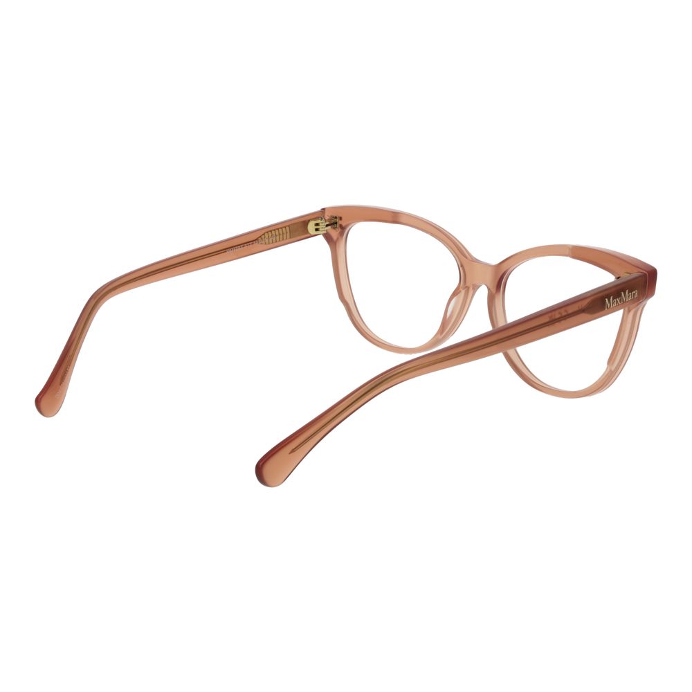 Brown Acetate Glasses (frames) Accessory