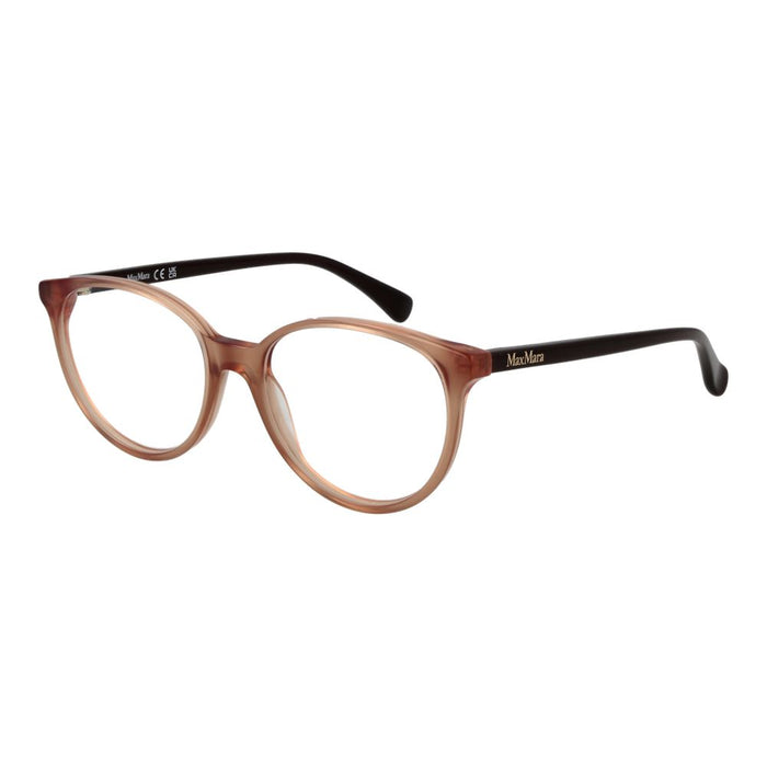 Brown Acetate Glasses (frames) Accessory