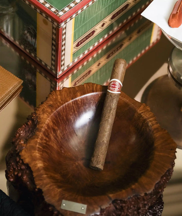 Ashtray Dunbar Neutral