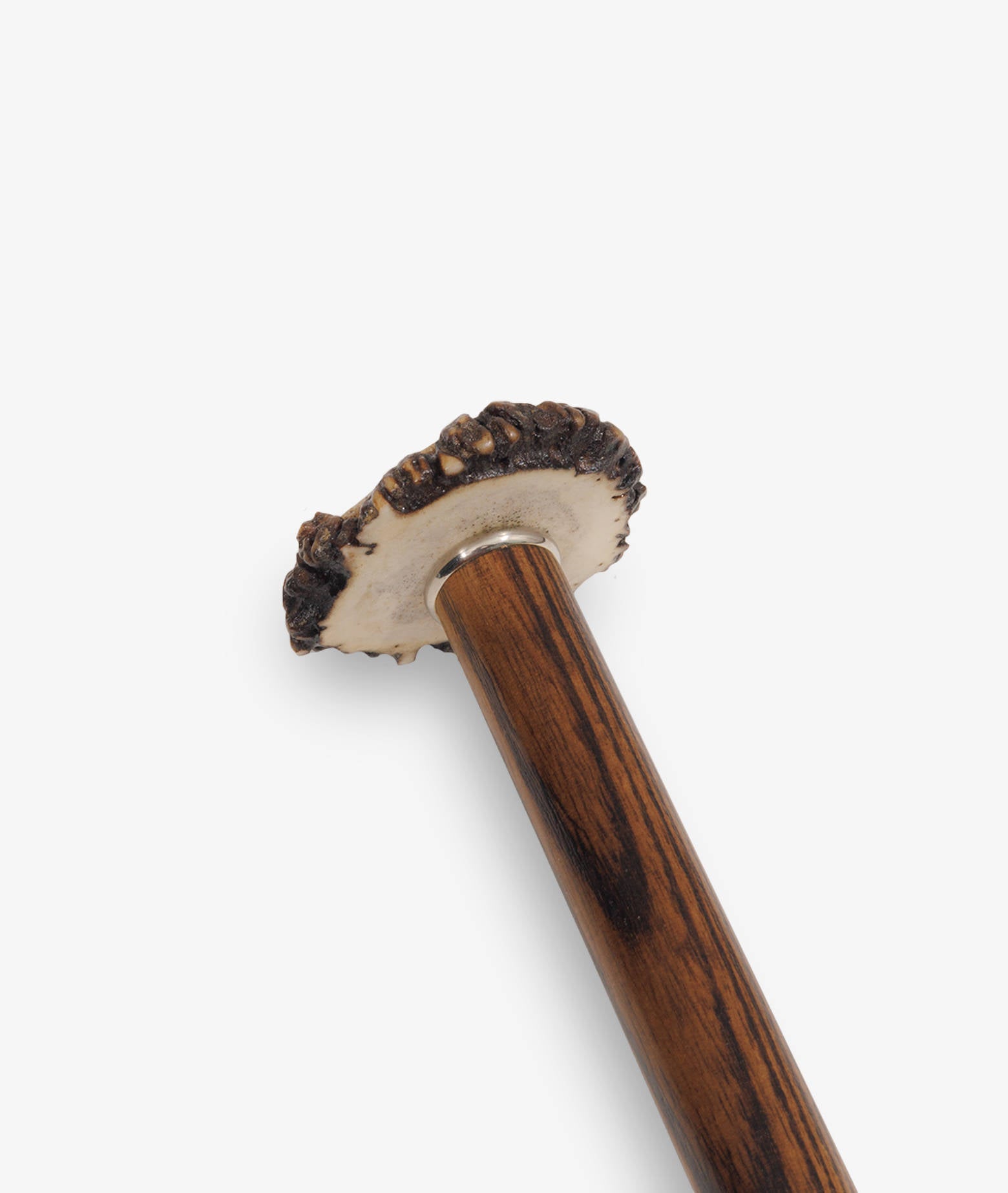 Walking Stick Brummell Brown Sticks