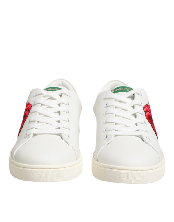 Dolce & Gabbana 100% Calf Leather sneaker in white