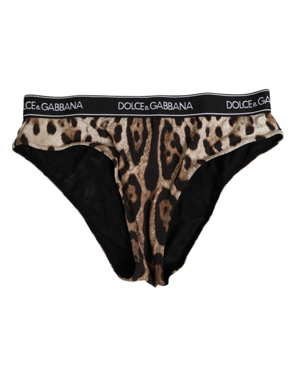 Dolce & Gabbana 20% Elastane brief in brown
