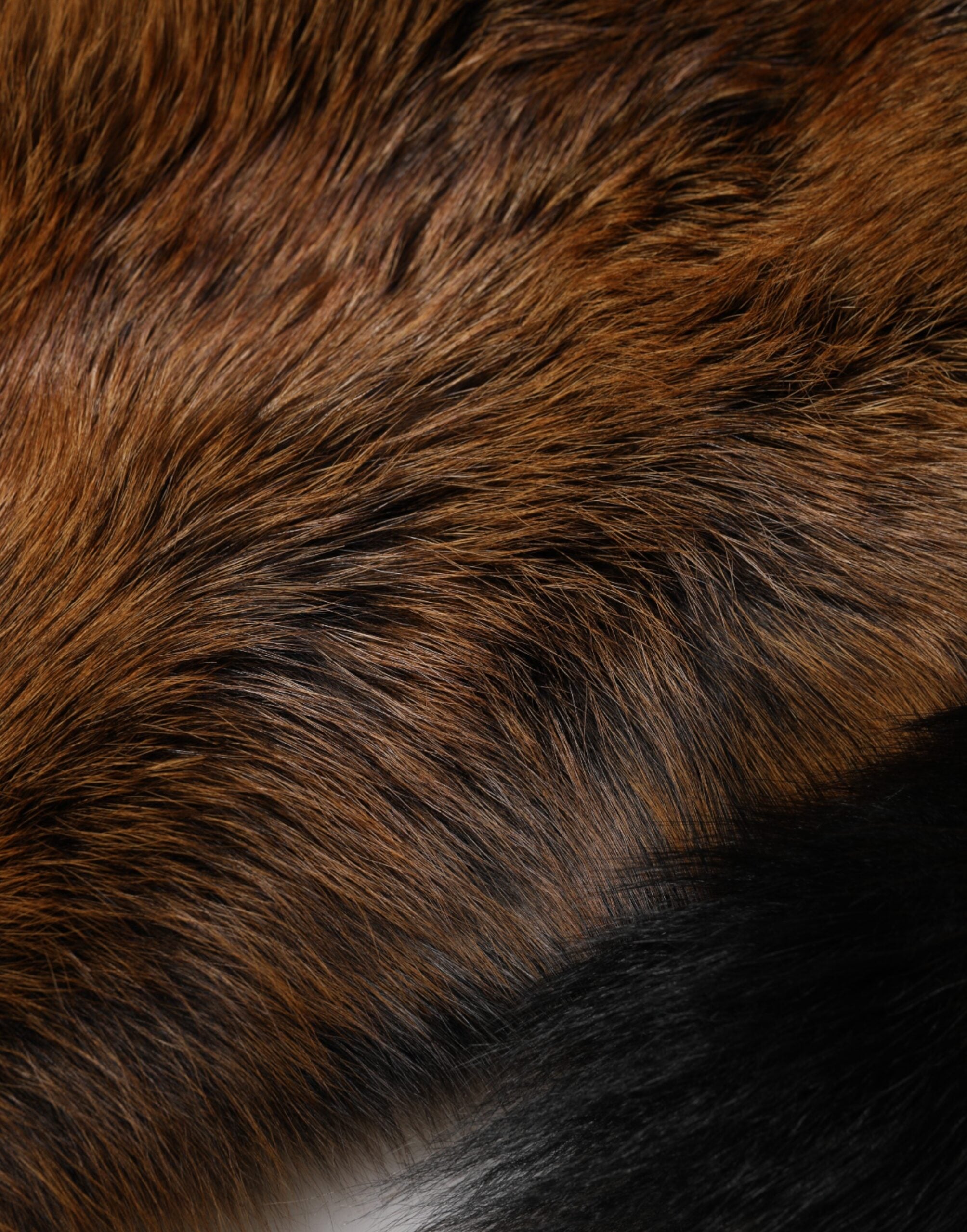 Dolce & Gabbana 100% Red Fox Fur scarf in brown — view 8