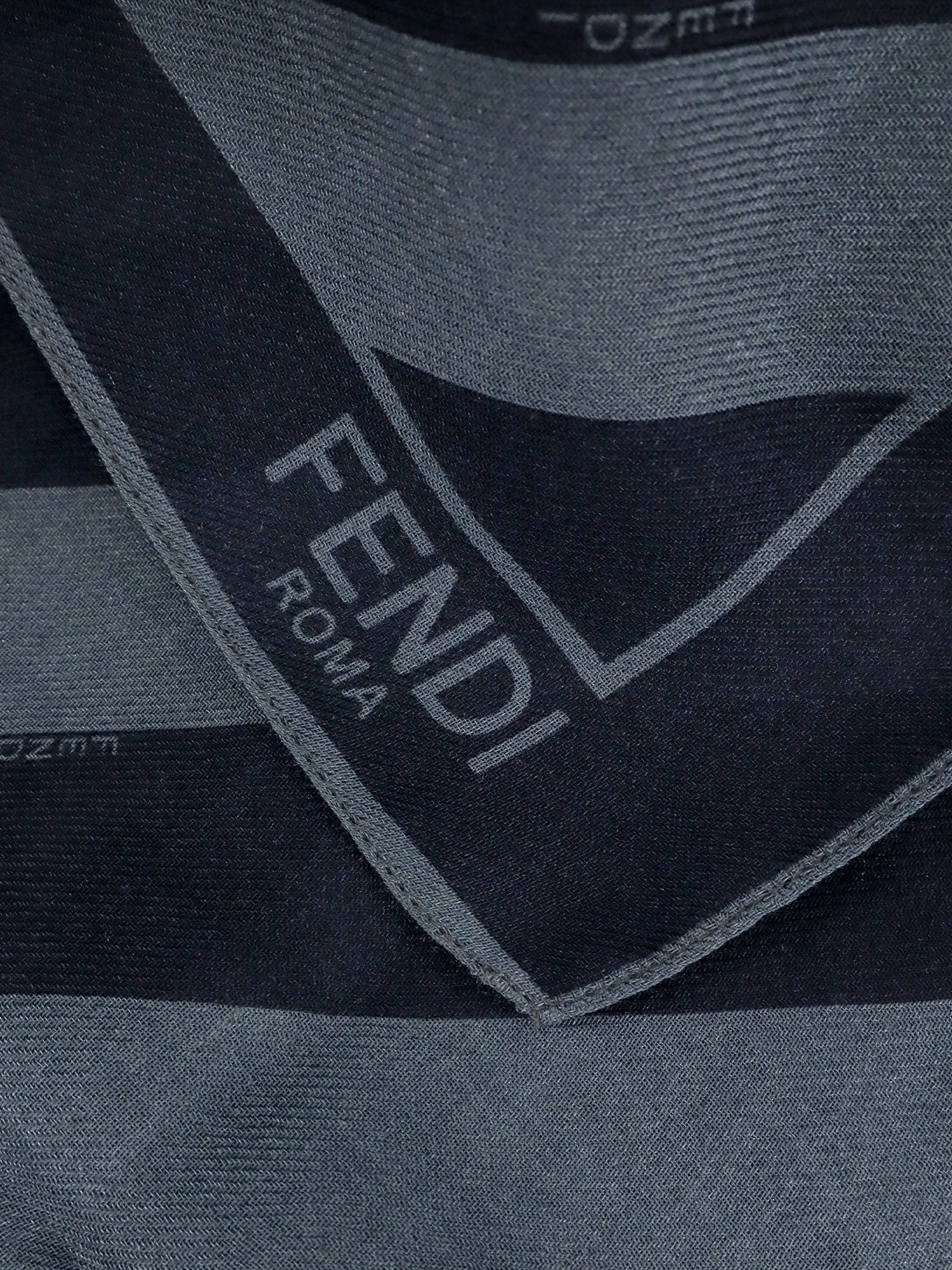 Fendi Scarfs Blue Seta Lana