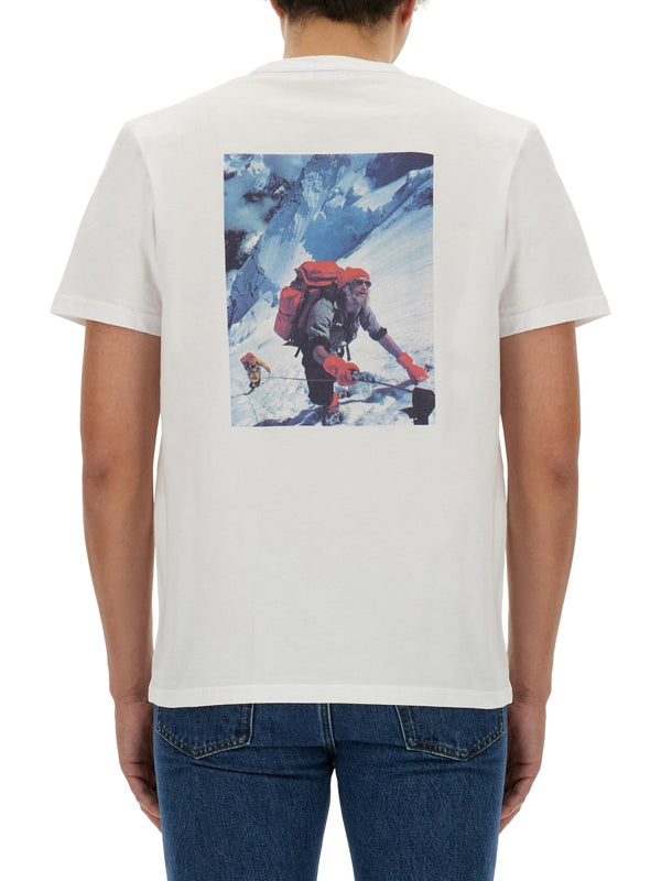 Logo T-Shirt White Cotton T-shirts