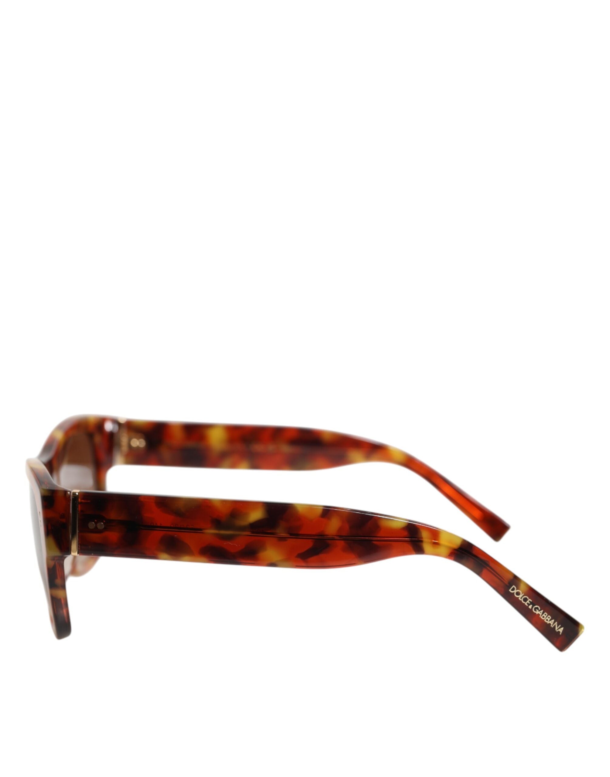 Dg4338f Brown Havana Full Rim Round Lenses Sunglasses 100