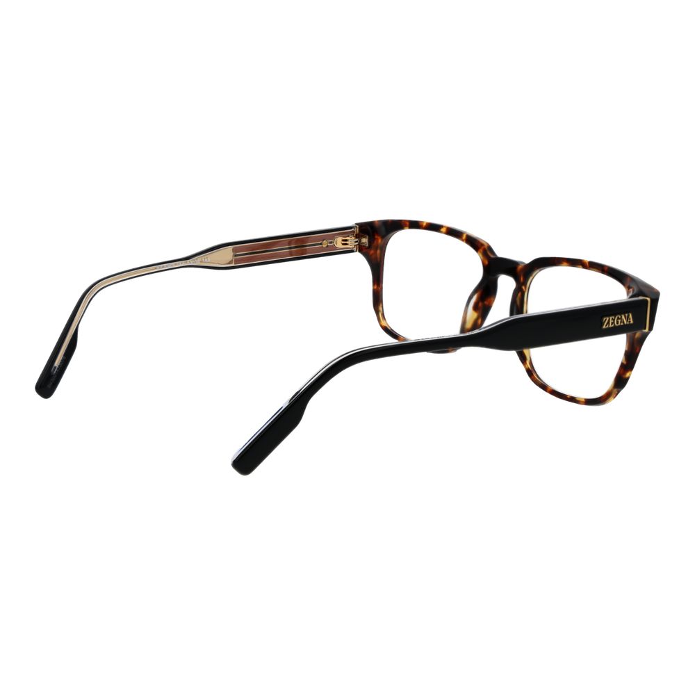 Brown Acetate Glasses (frames) Accessory