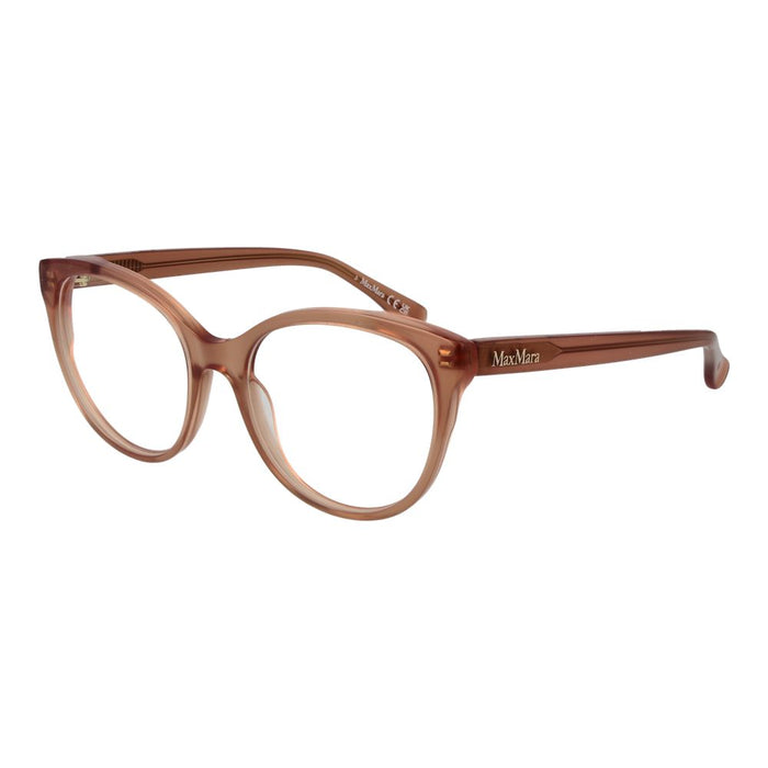 Brown Acetate Glasses (frames) Accessory