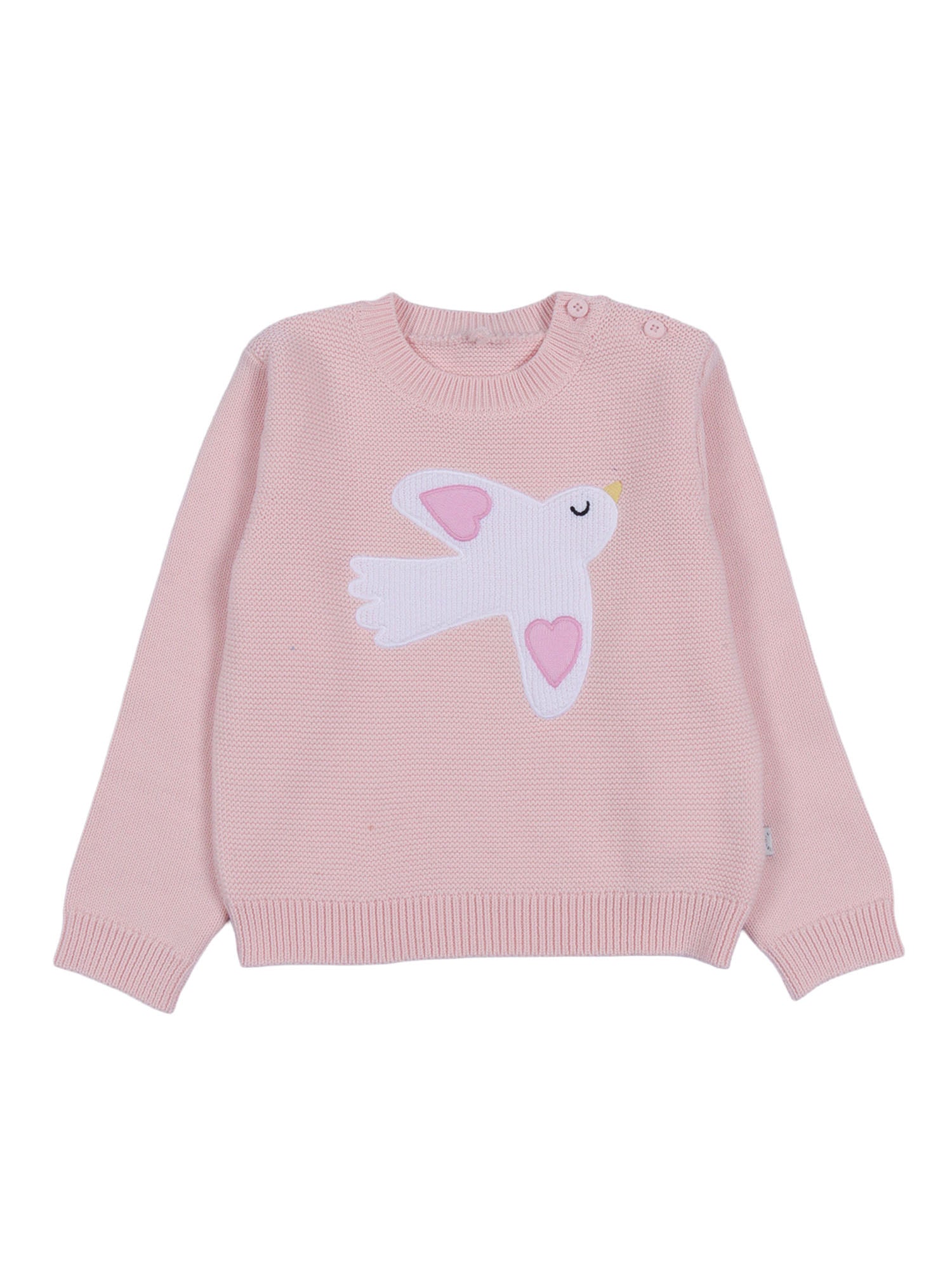Jumper Pink Cotton Crewneck