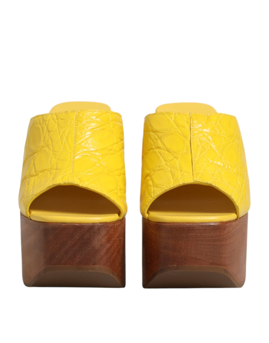 Dolce & Gabbana 100% Caiman leather upper mule slide in yellow