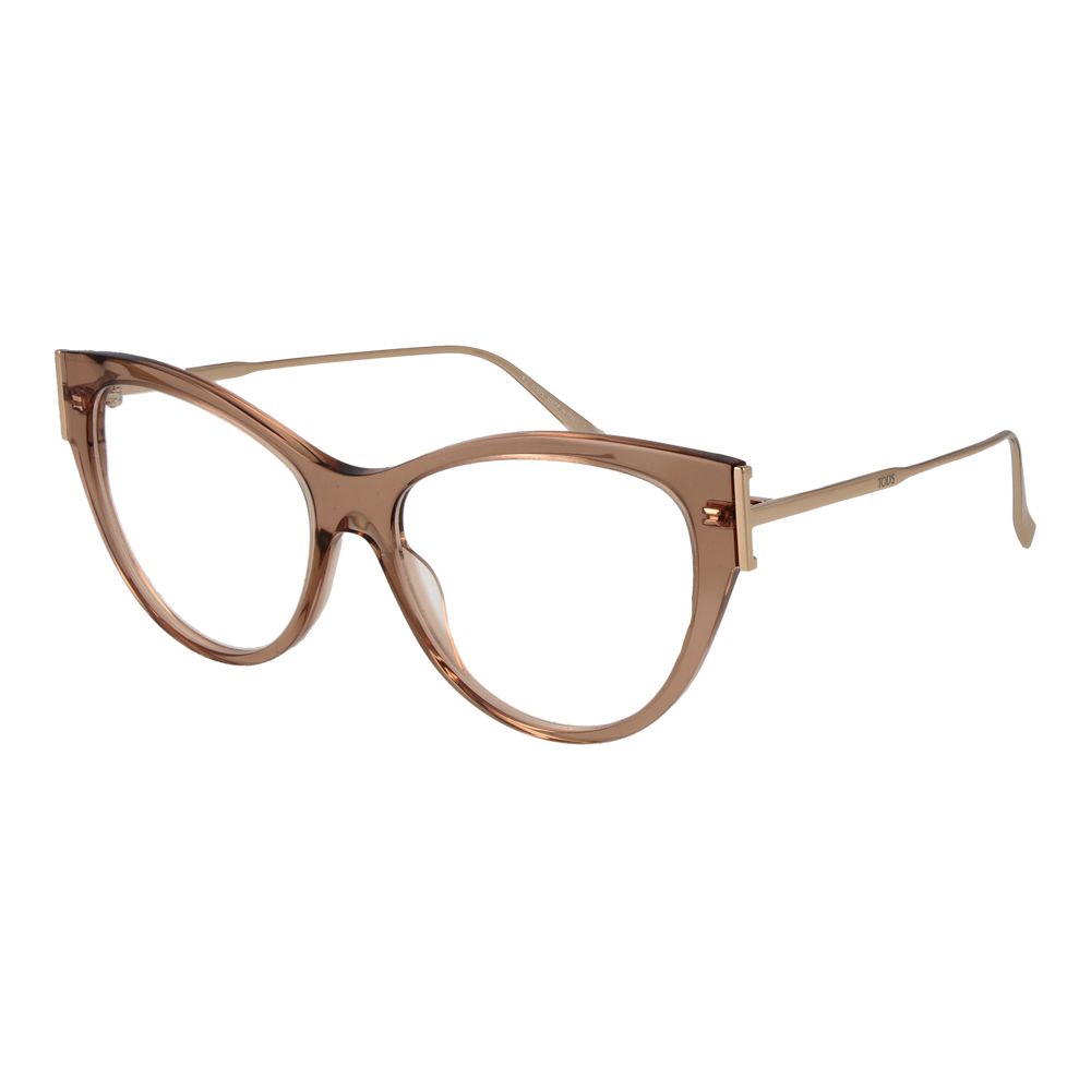 Beige Acetate & Metal Glasses (frames) Accessory