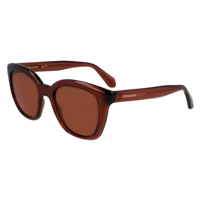 Ferragamo FESF2000S5221232AC Injected sunglasses in brown