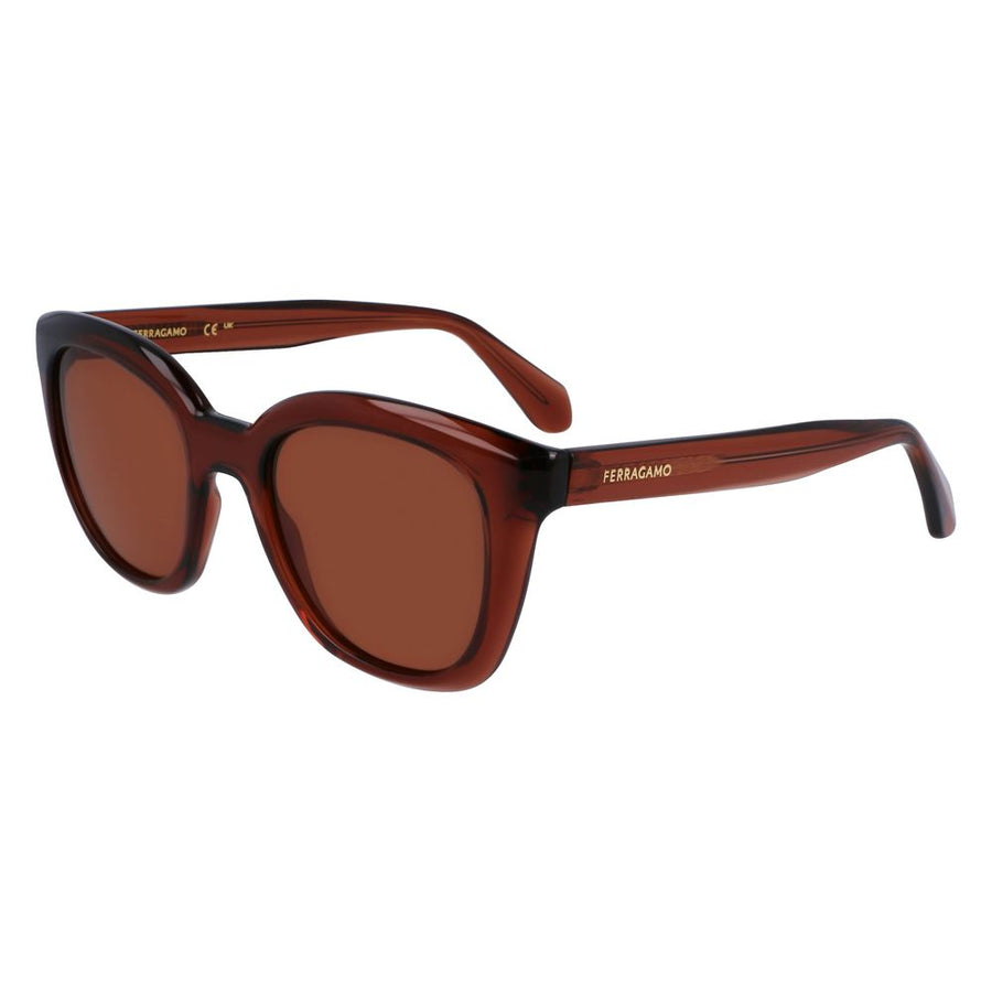 Ferragamo FESF2000S5221232AC Injected sunglasses in brown