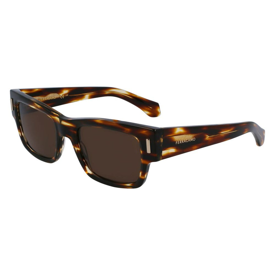 Ferragamo FESF2011S216AC Acetate sunglasses in brown