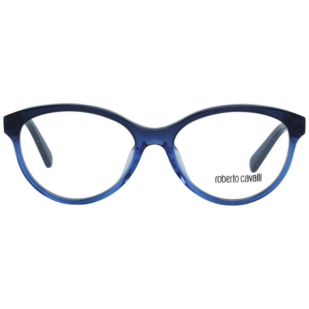 Blue Metal Glasses (frames) And Plastic Accessory