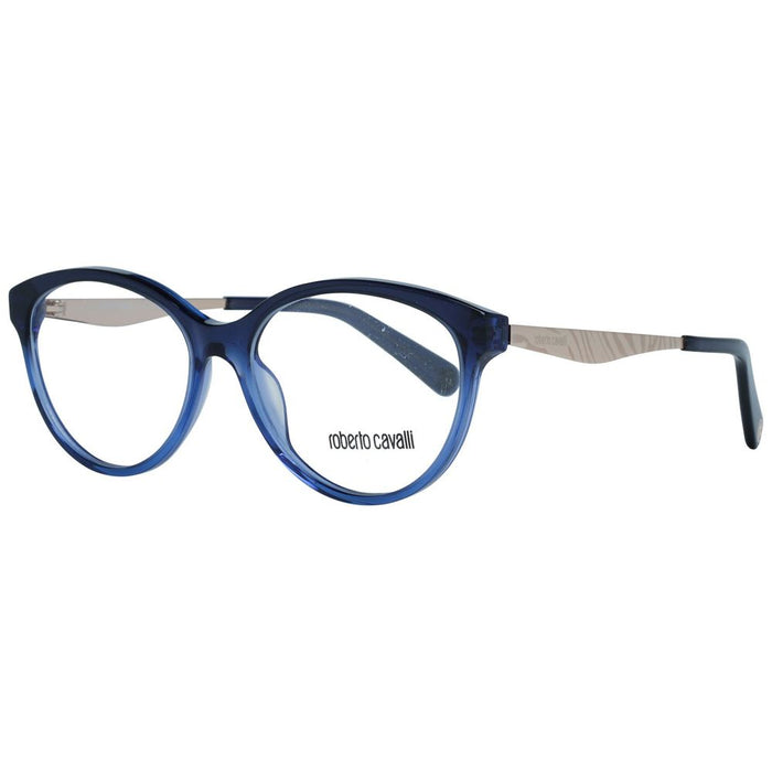Blue Metal Glasses (frames) And Plastic Accessory