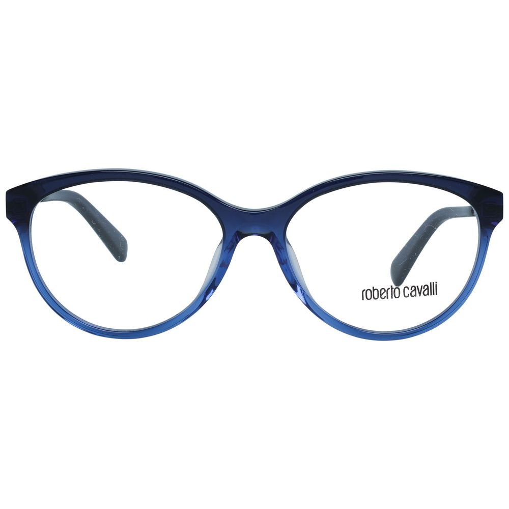 Blue Metal Glasses (frames) And Plastic Accessory