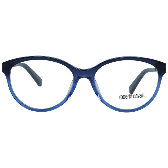 Blue Metal Glasses (frames) And Plastic Accessory