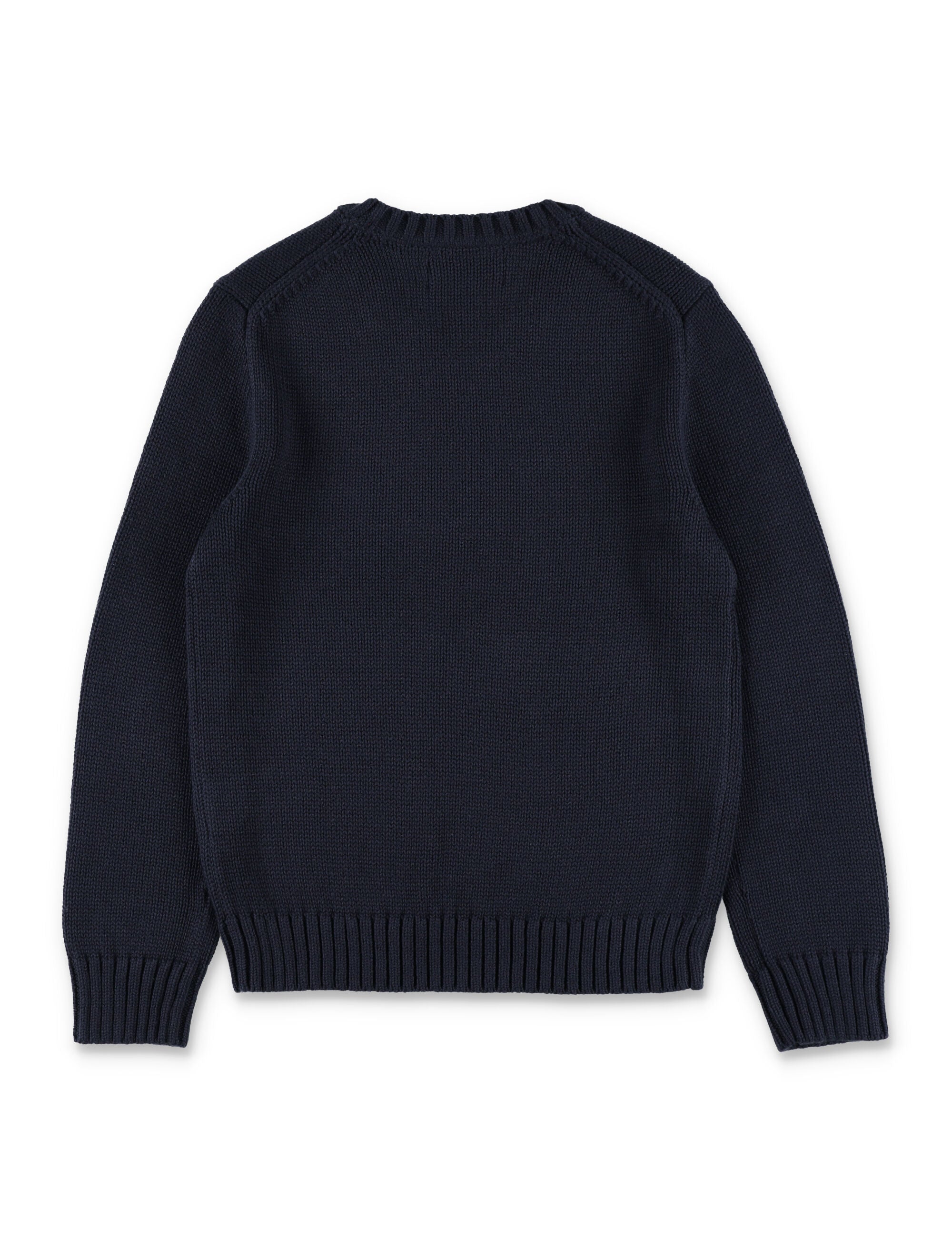 Polo Ralph Lauren Kids cotton crewneck jumper Navy Sweater