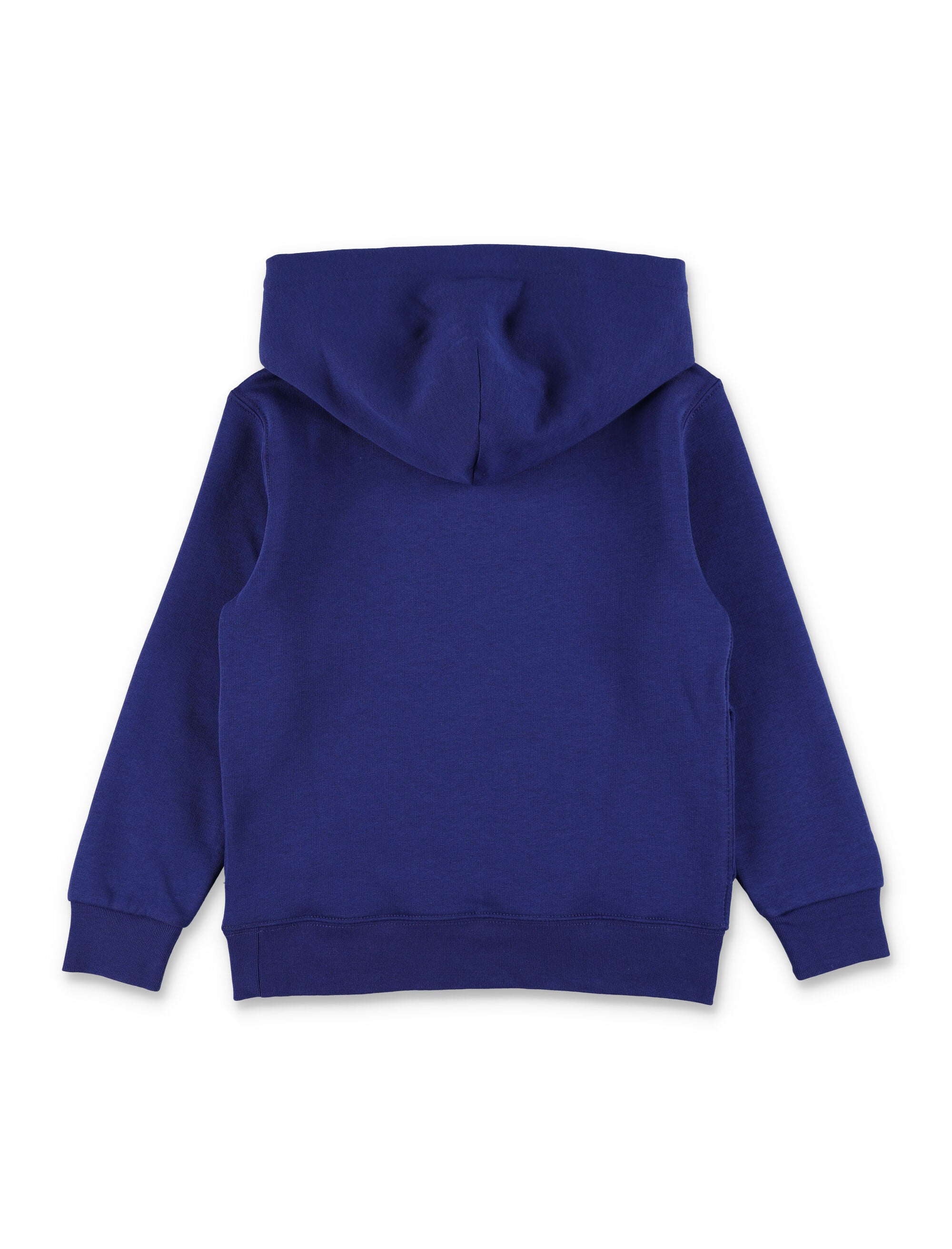 Polo Ralph Lauren Kids blue hooded sweatshirt with Bear Hol25 Fall Royal Cotton