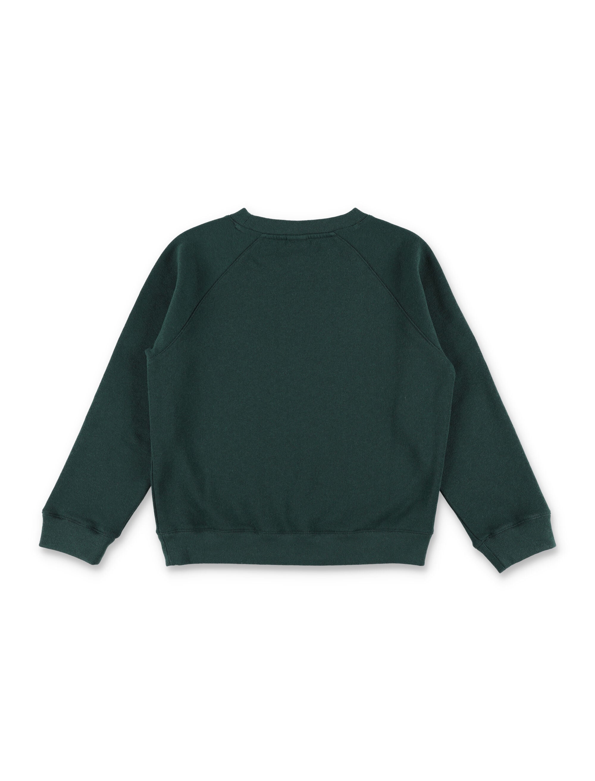 Sporty & Rick Kids green fleece Wellness crewneck Forest Cotton Sweatshirt