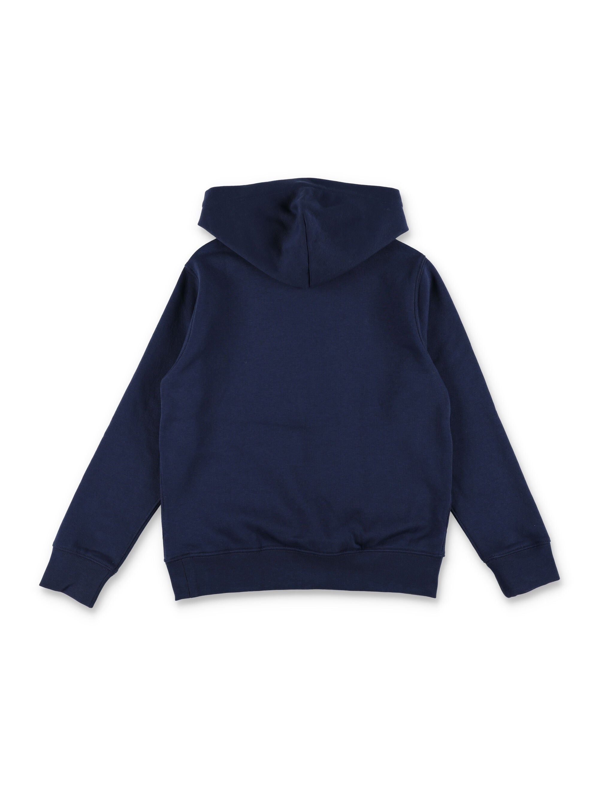 Polo Ralph Lauren kids hoodie with Bear print Cruise Navy Cotton Sweatshirt