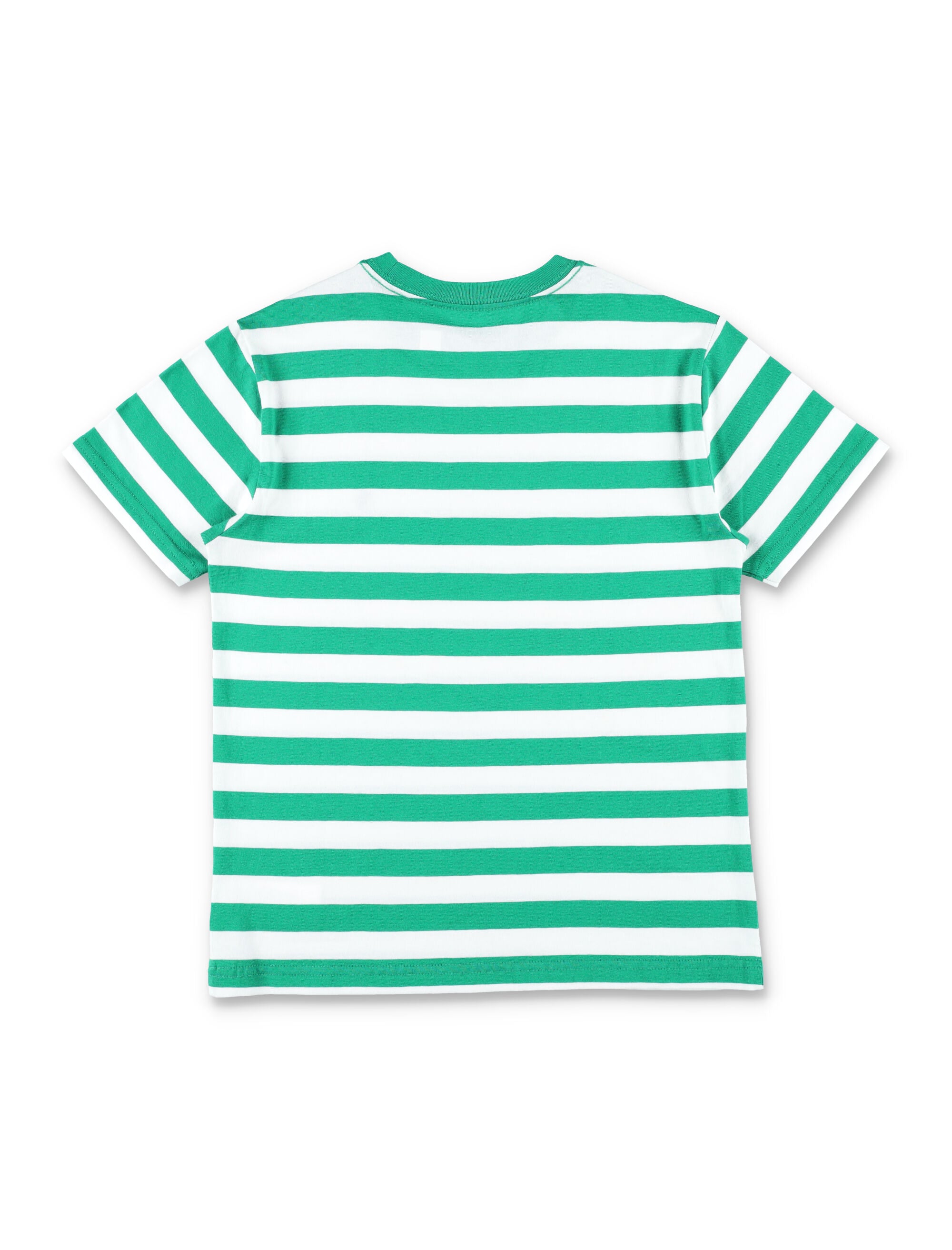Polo Ralph Lauren boy striped cotton t-shirt Green/white