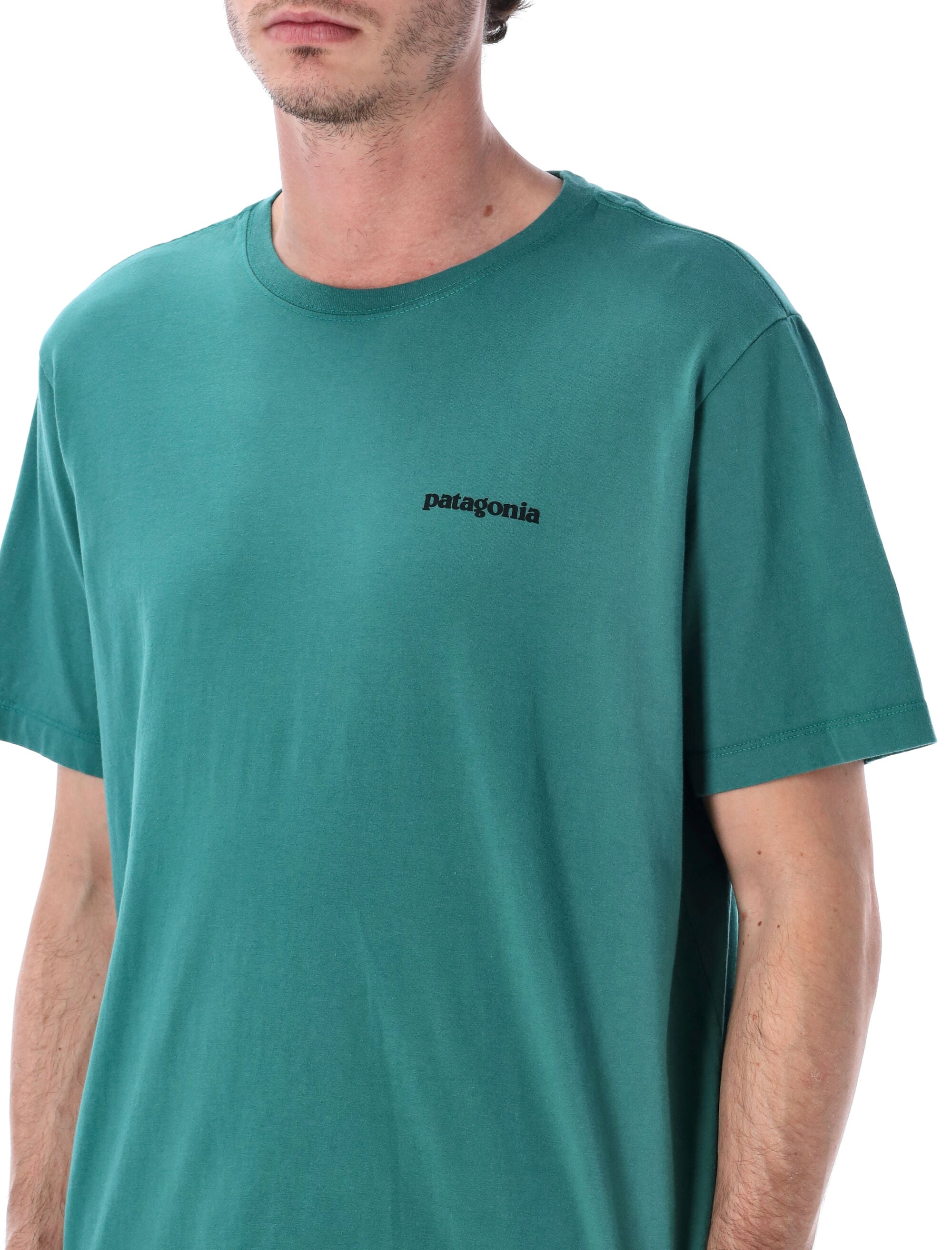 Patagonia P-6 organic cotton Logo tee Green Tshirt