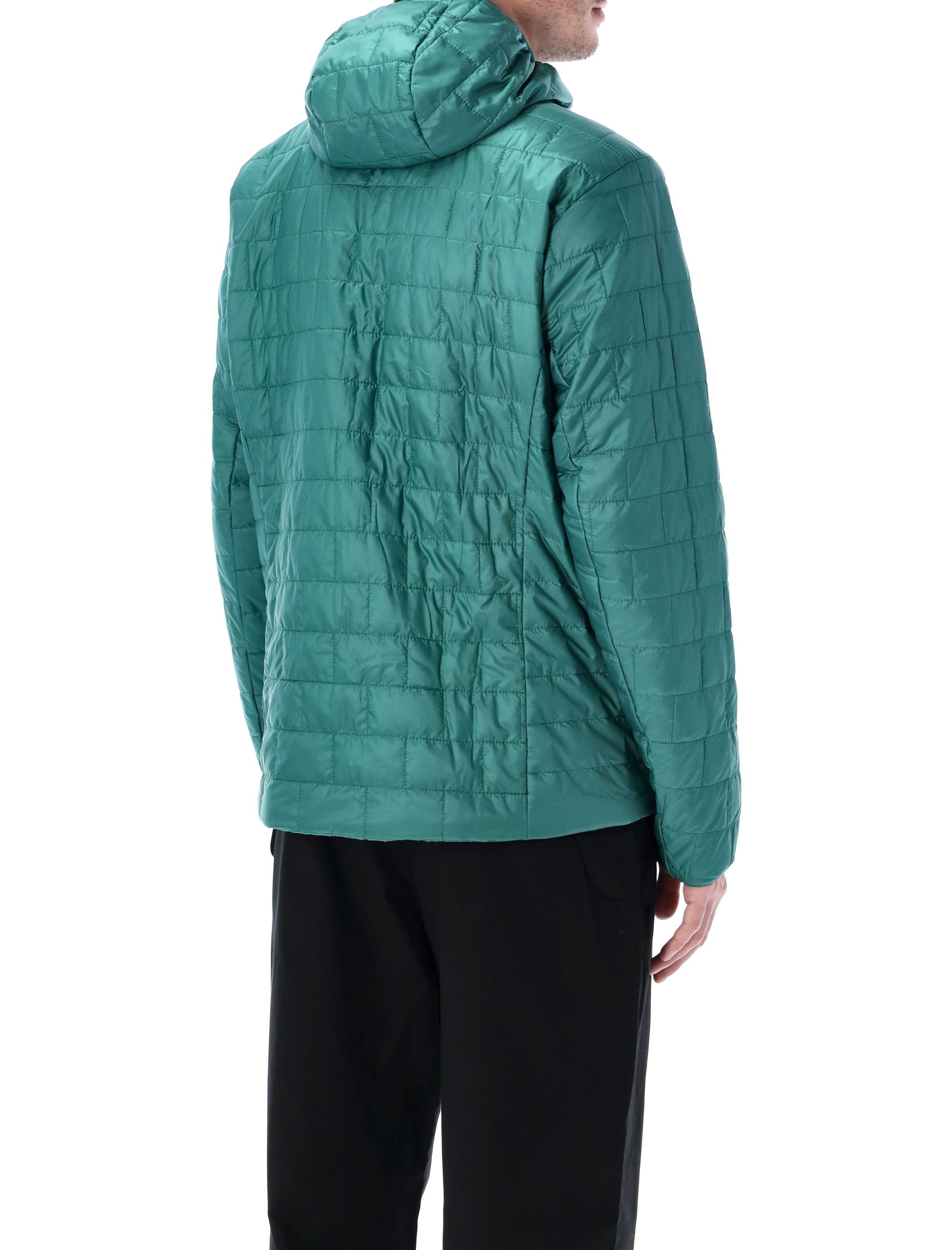 Patagonia Nano Puff® Hoody Gem Green Recycled Polyester Lining Jacket