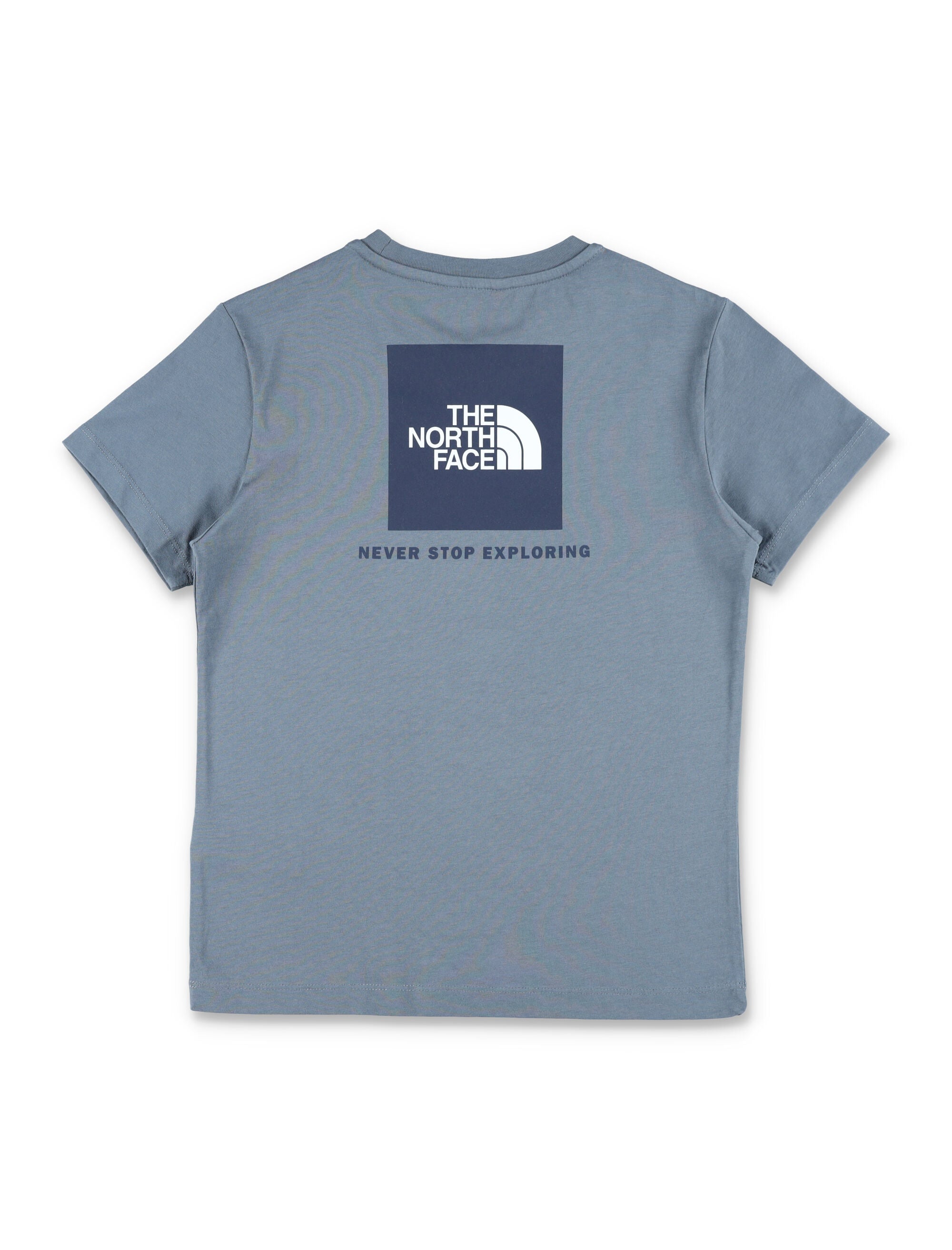 The North Face Box NSE Kids cotton T-shirt Grey