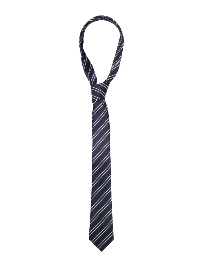 Tom Ford Striped Silk Tie Black Blue Mulberry Lining