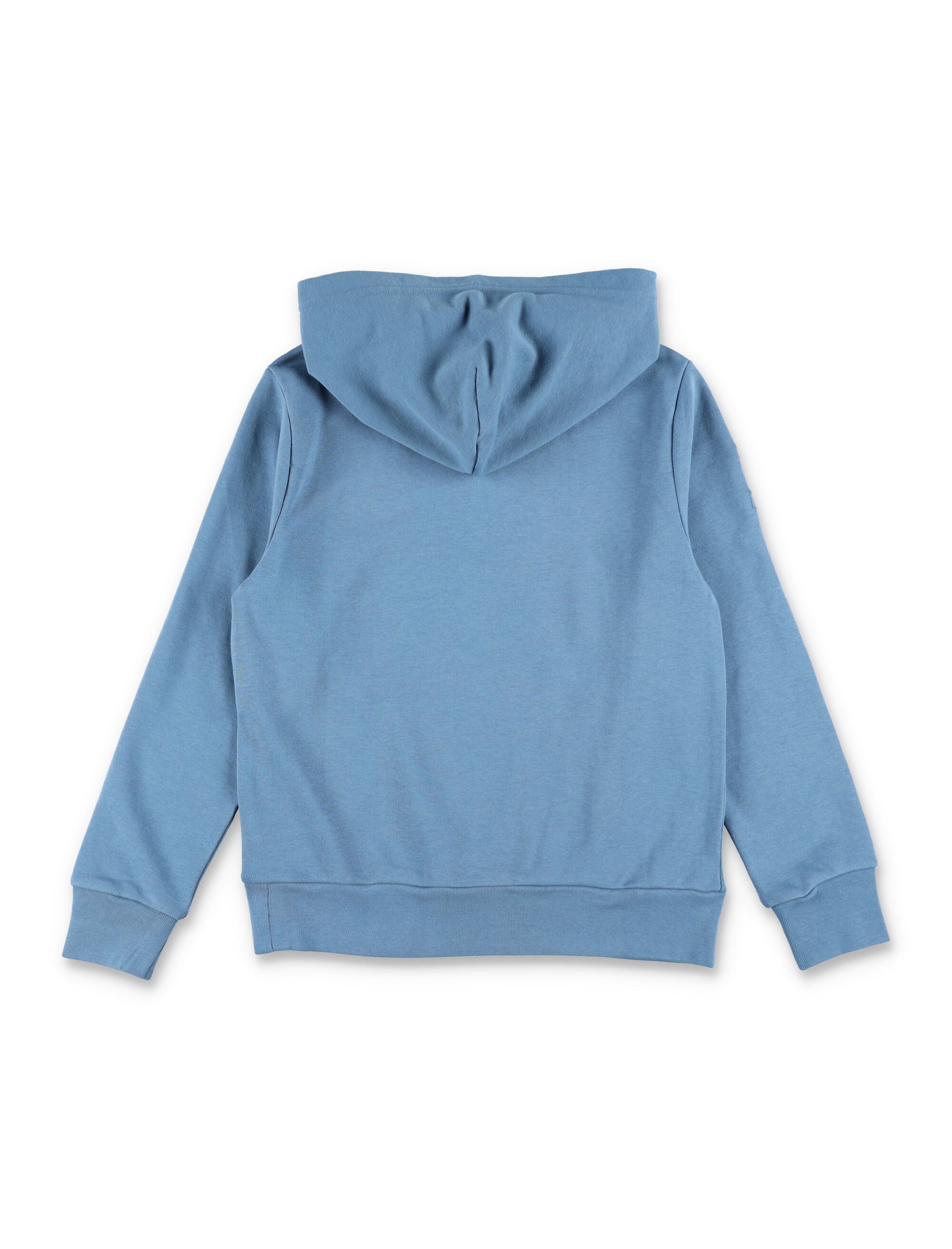 Polo Ralph Lauren Big Pony hooded sweatshirt for kids Camp Blue Cotton
