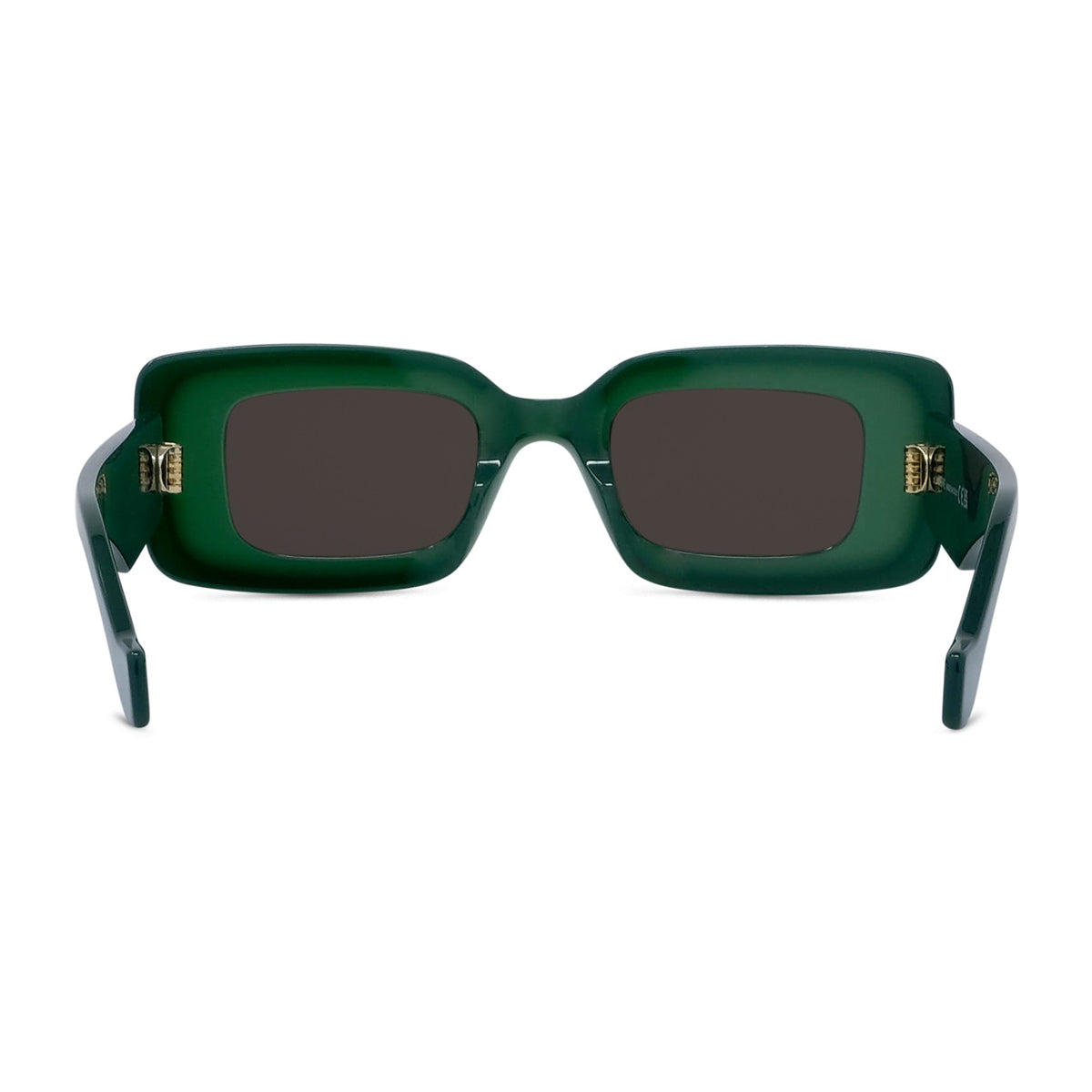 Loewe LW40101I Anagram 95e Verde Chiaro Acetate Occhiali Da Sole