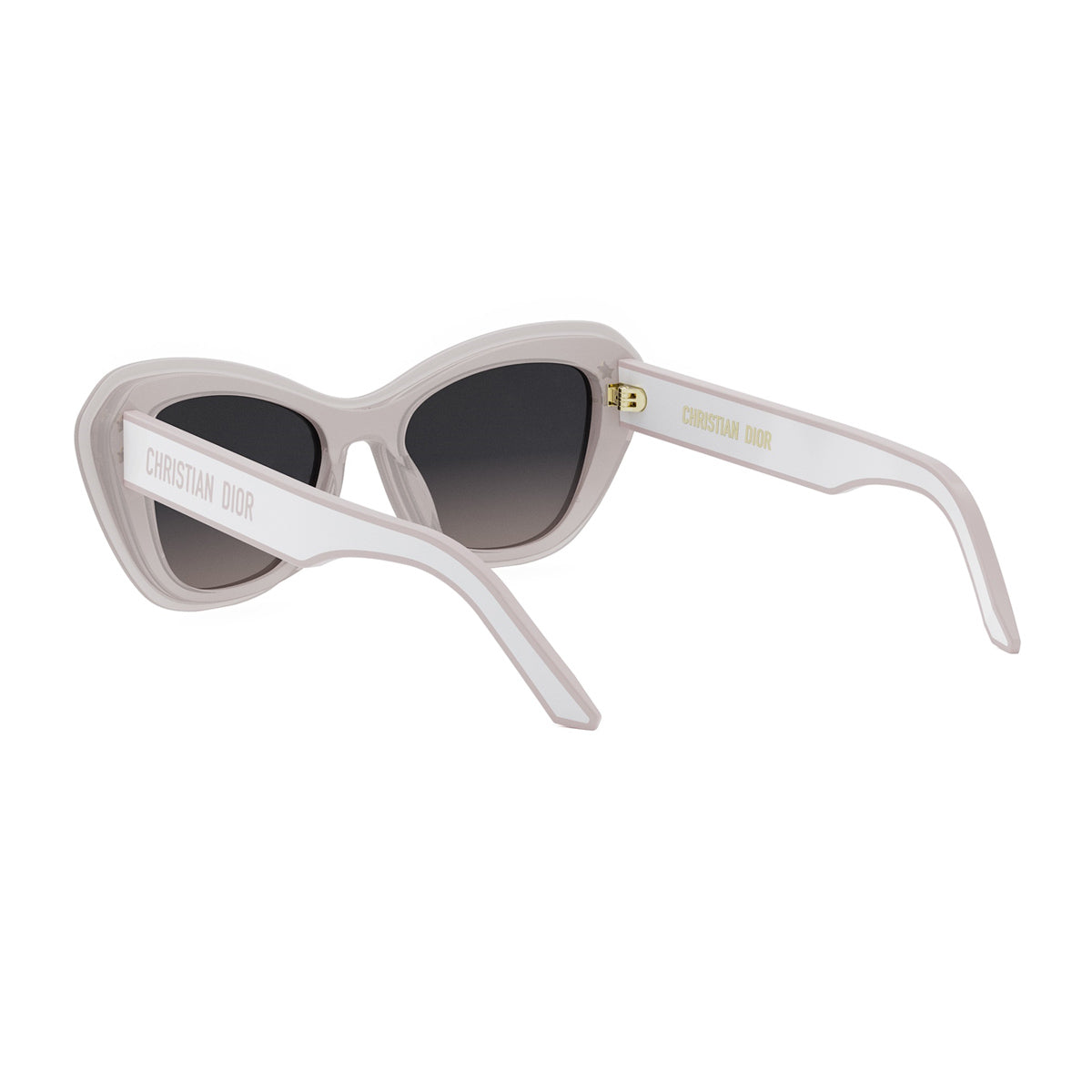 DiorPacific B3U 40Gl Pink Rosa Acetate Occhiali Da Sole