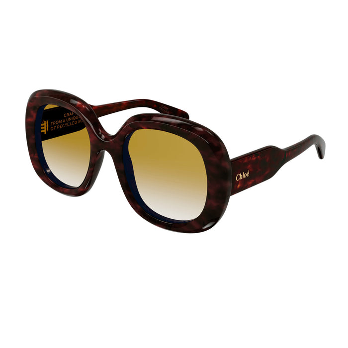 CH0153S Marrone Celluloid Occhiali Sole