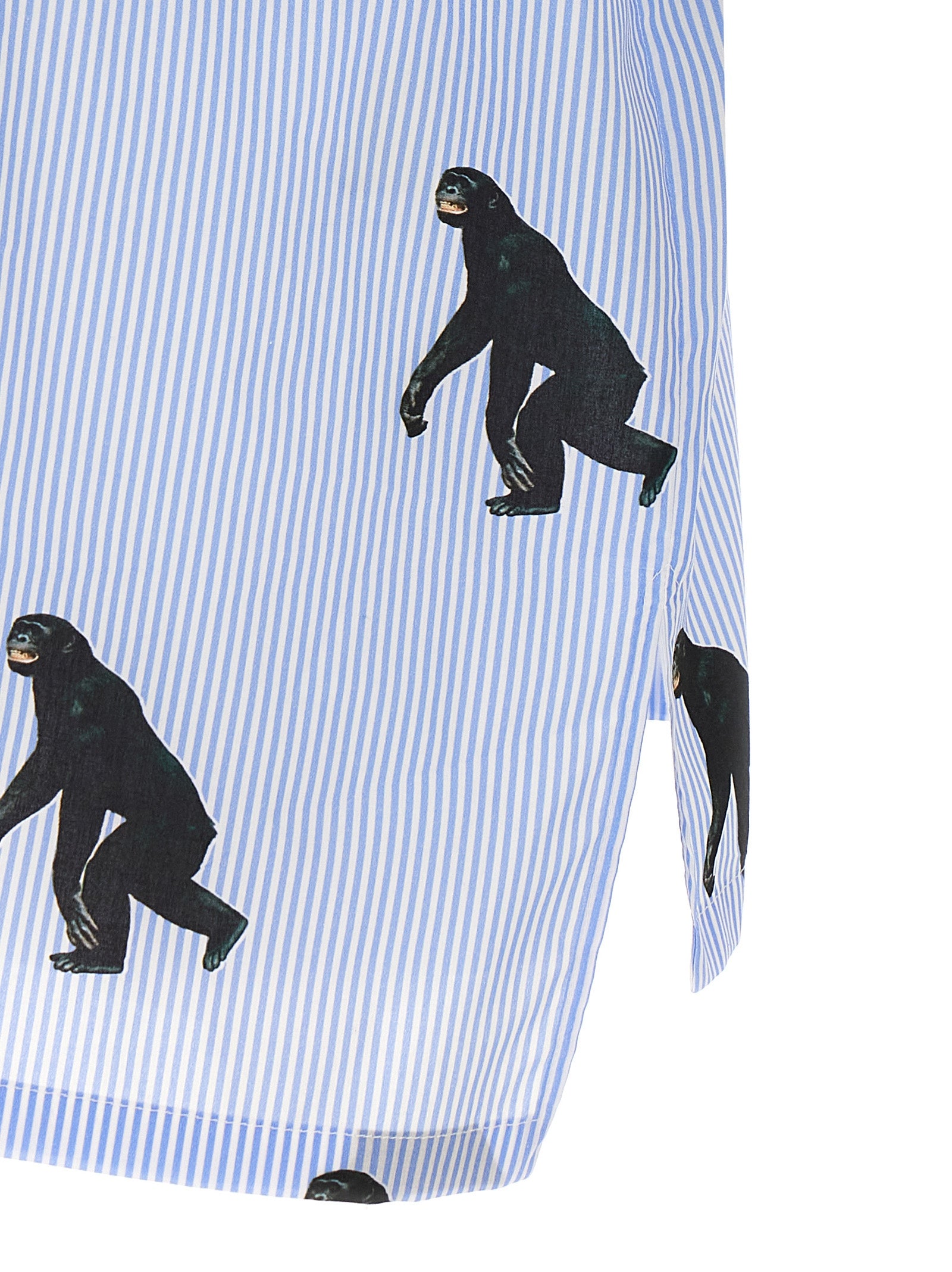 Scimpanzé print shirt Light Blue Cotton Shirt, Blouse