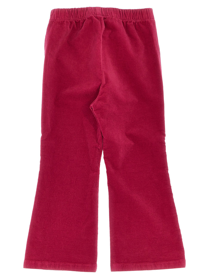 Velvet pants Fuchsia