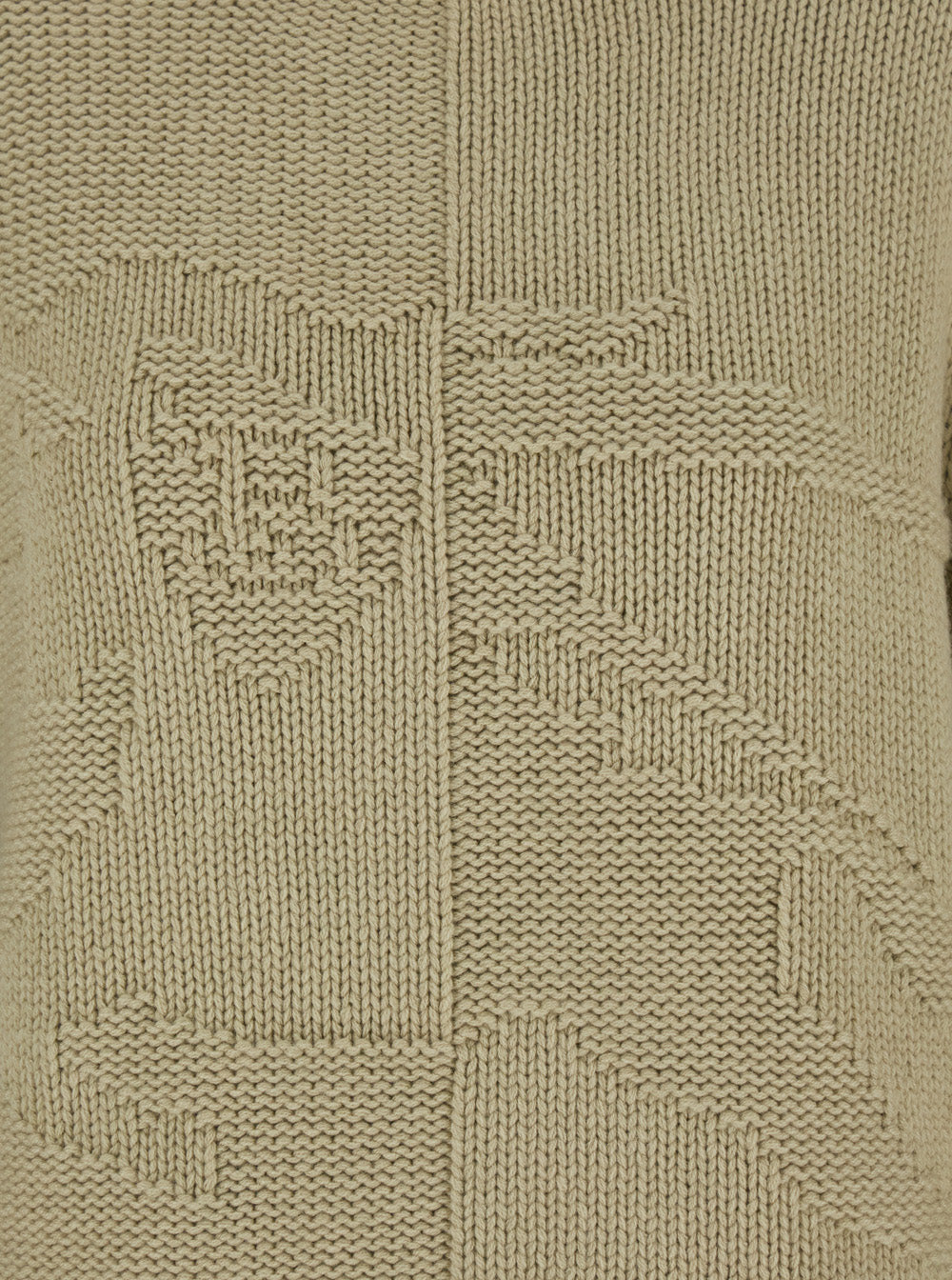 Beige High Neck Sweater with EKD Motif in Cashmere Woman Green Jersey