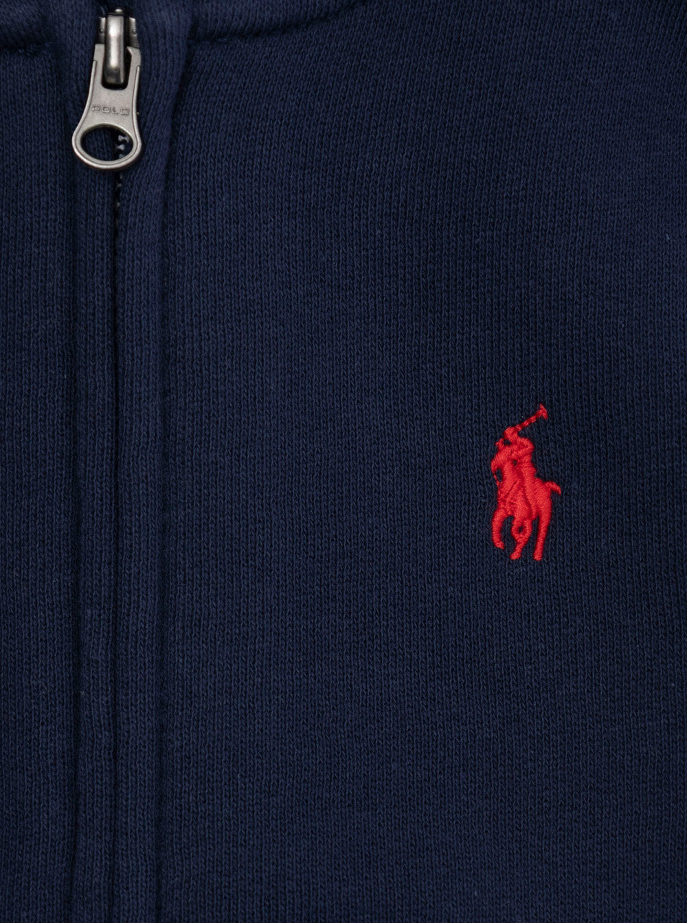 Blue Sweatshirt with Fixed Hood and Pony Embroidery on the Front in Cotton Blend Baby Blu Polyester Sweatshirts