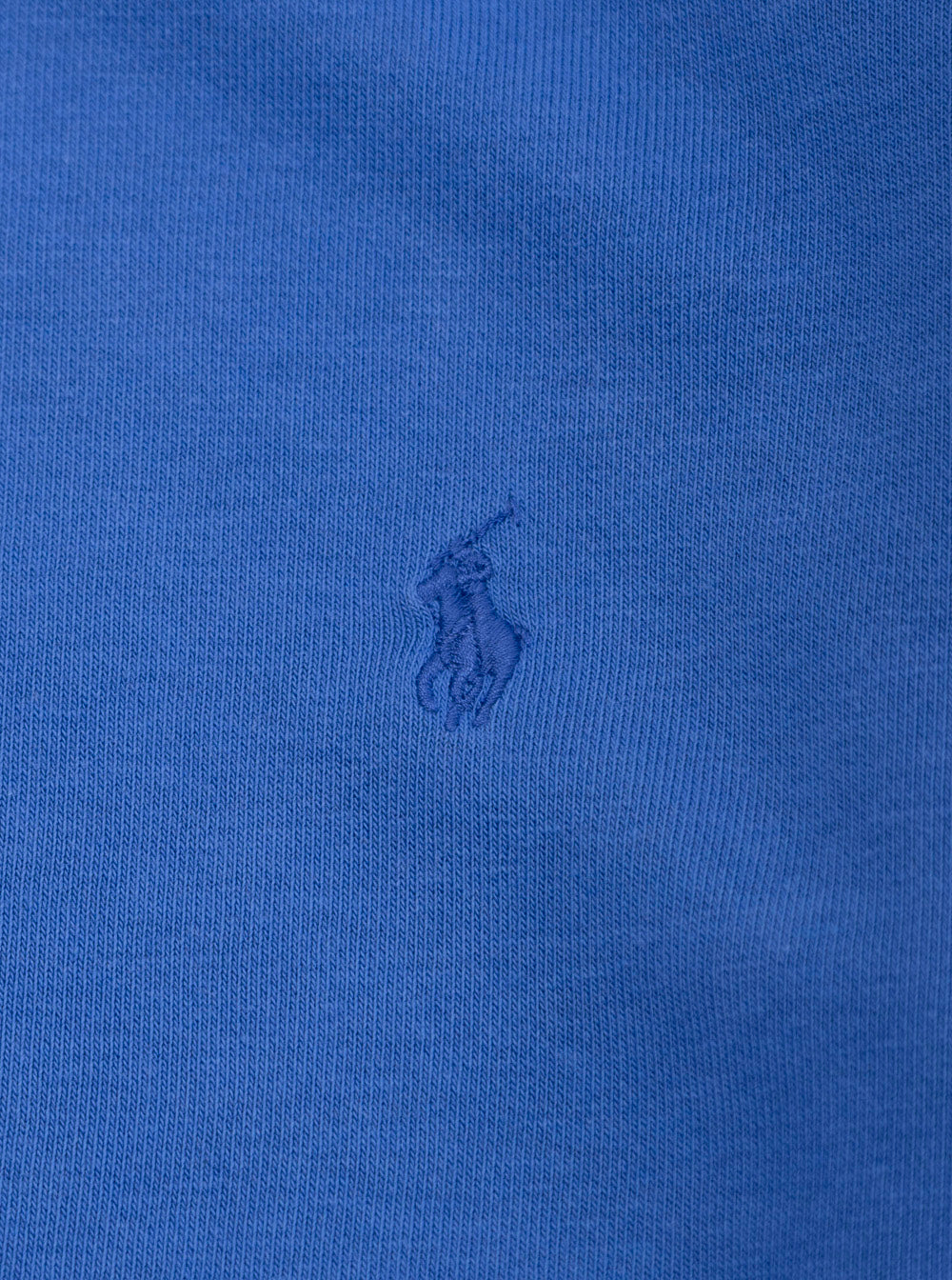 Blue Sweatshirt with Pony Embroidery on the Front in Cotton Boy Blu Polyester Sweatshirts