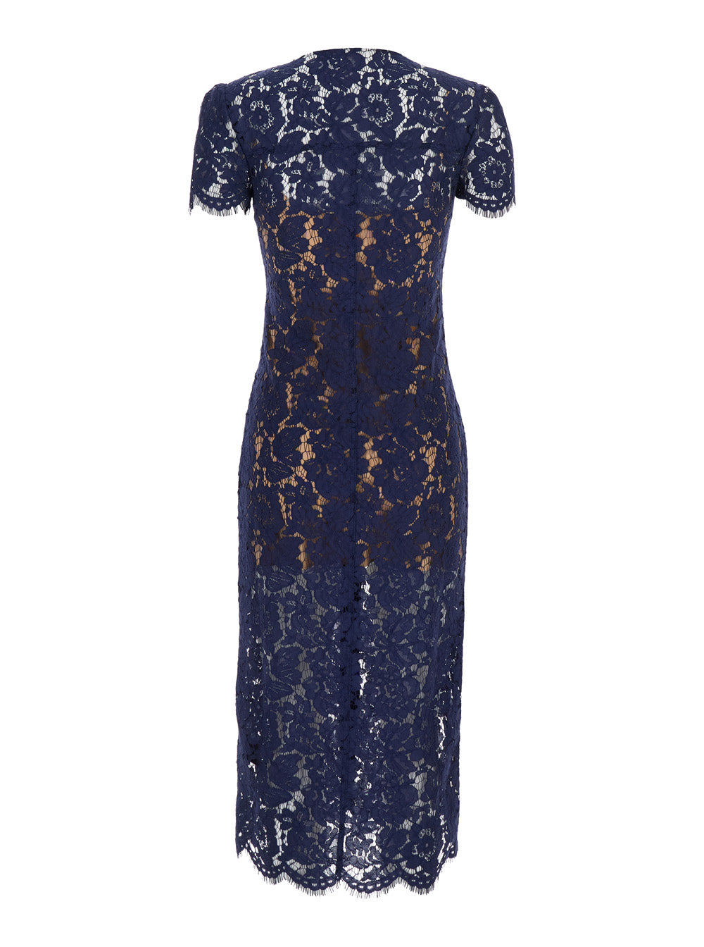 Navy Lace Contrast Collar Midi Dress Blu 100 % Polyester