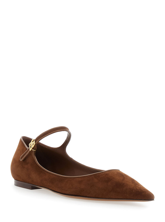 Brown Pointed Toe Ballerinas with DG Logo on the Side in Suede Woman Goat Lamb