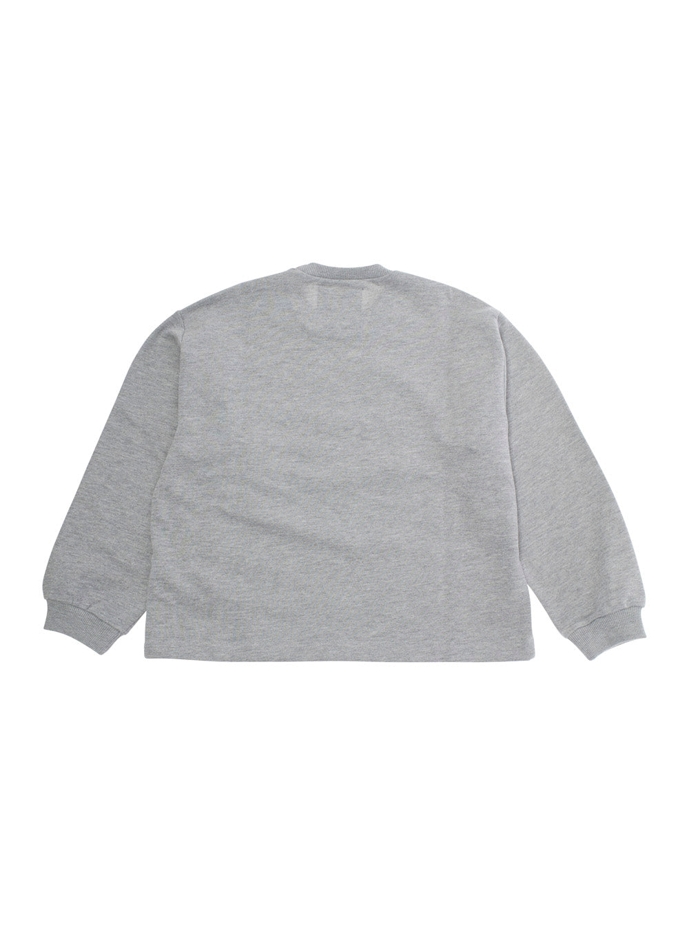 Grey Crewneck Sweatshirt With Print On The Front Cotton Boy Sweatshirts