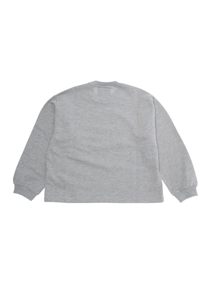 Grey Crewneck Sweatshirt With Print On The Front Cotton Boy Sweatshirts