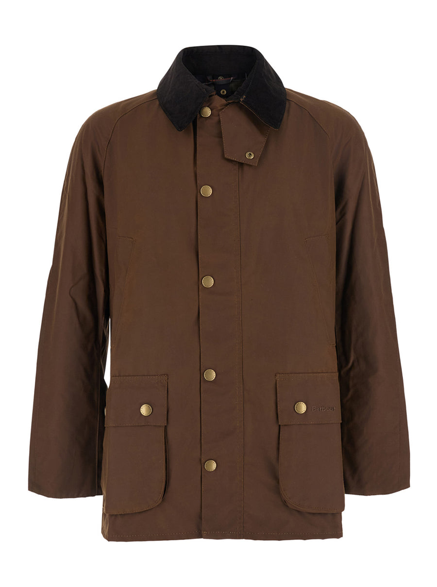 Jacket Ashby Continuous Coated Brown Cotton Coat