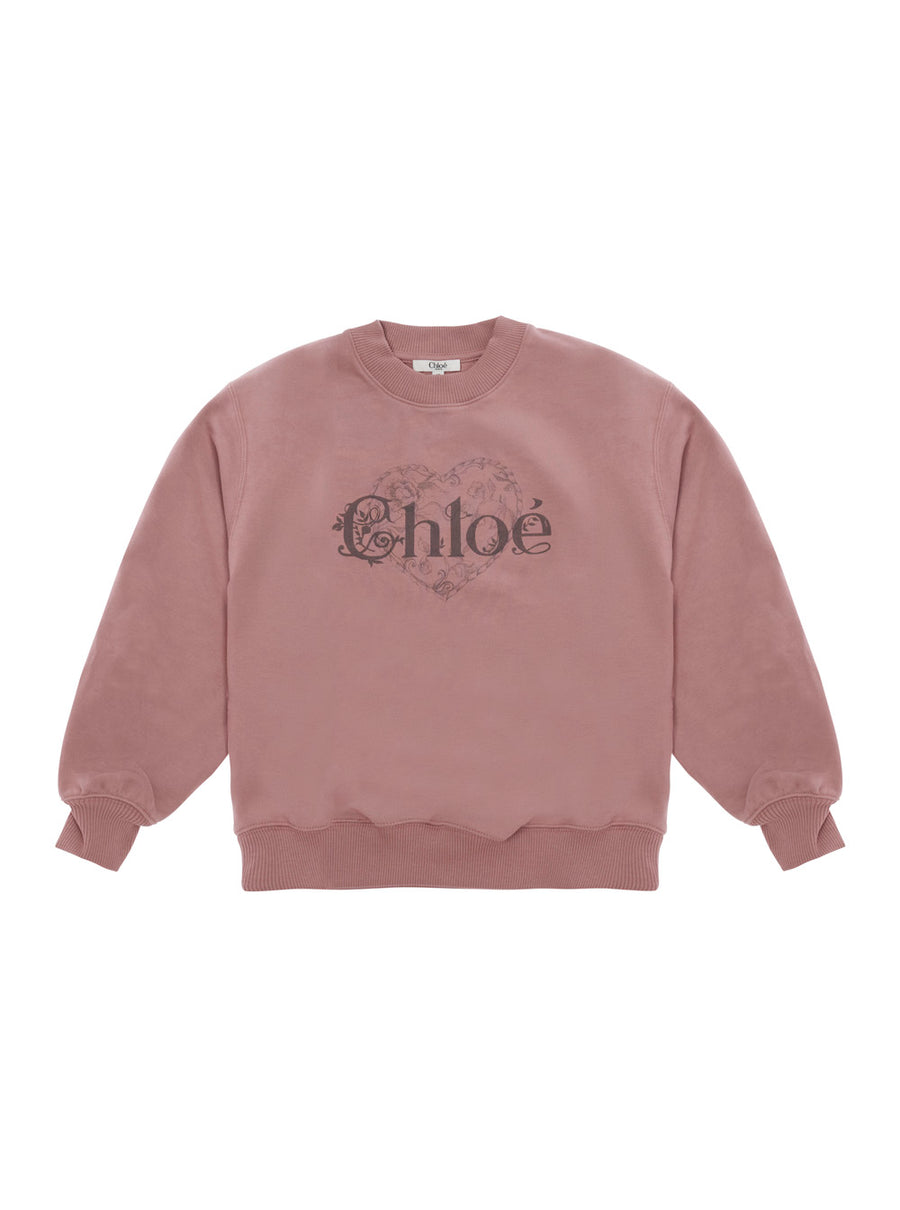 Sweatshirt C21286 Pink Cotton Hoods & Sweatshirts