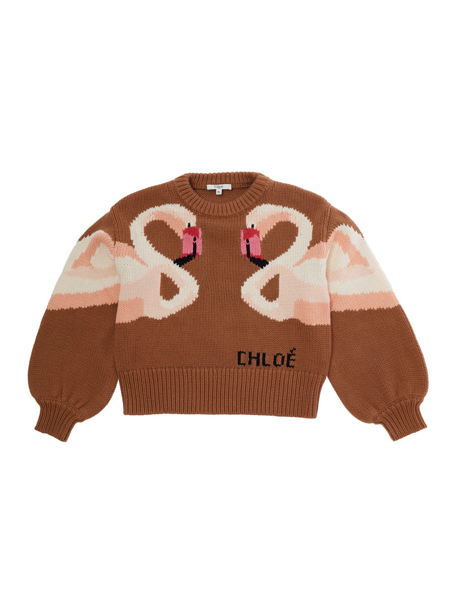 Sweater Brown Cotton And Wool Tops